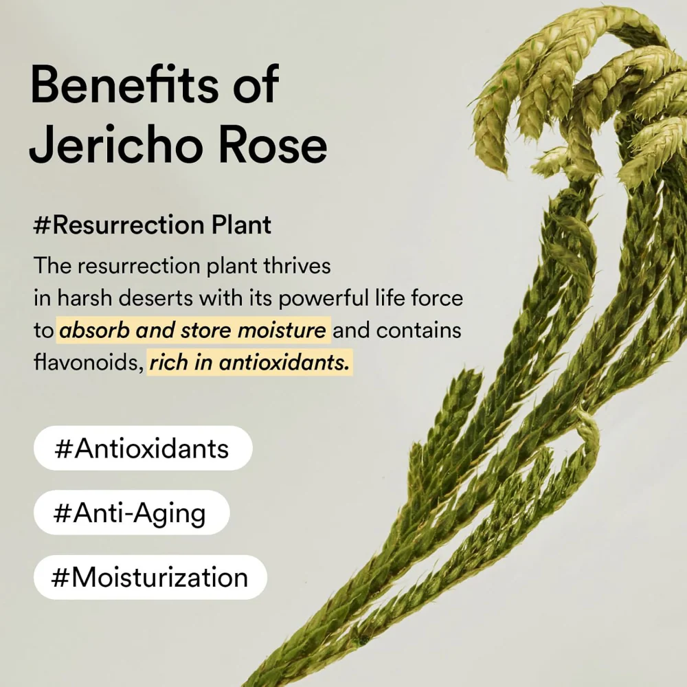 Abib Collagen Eye Cream Jericho Rose 30ml - Image 6