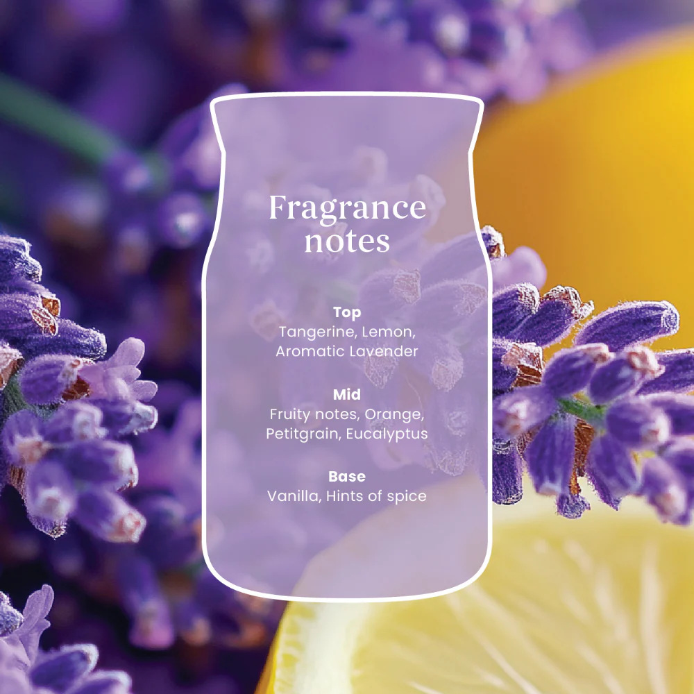 Yankee Candle Lemon Lavender Small Signature Jar Candle - Image 3