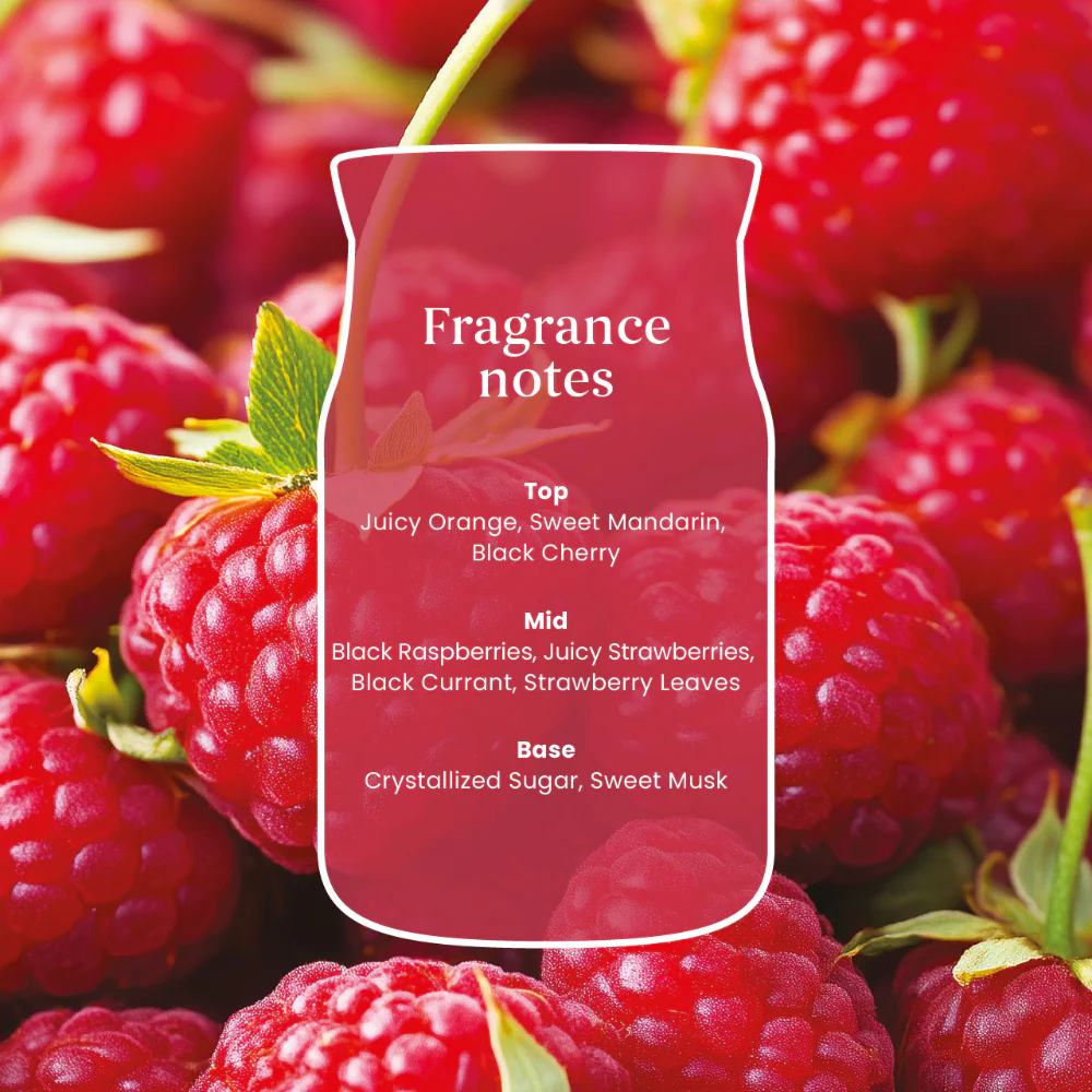Yankee Candle Red Raspberry Medium Signature Jar Candle - Image 3