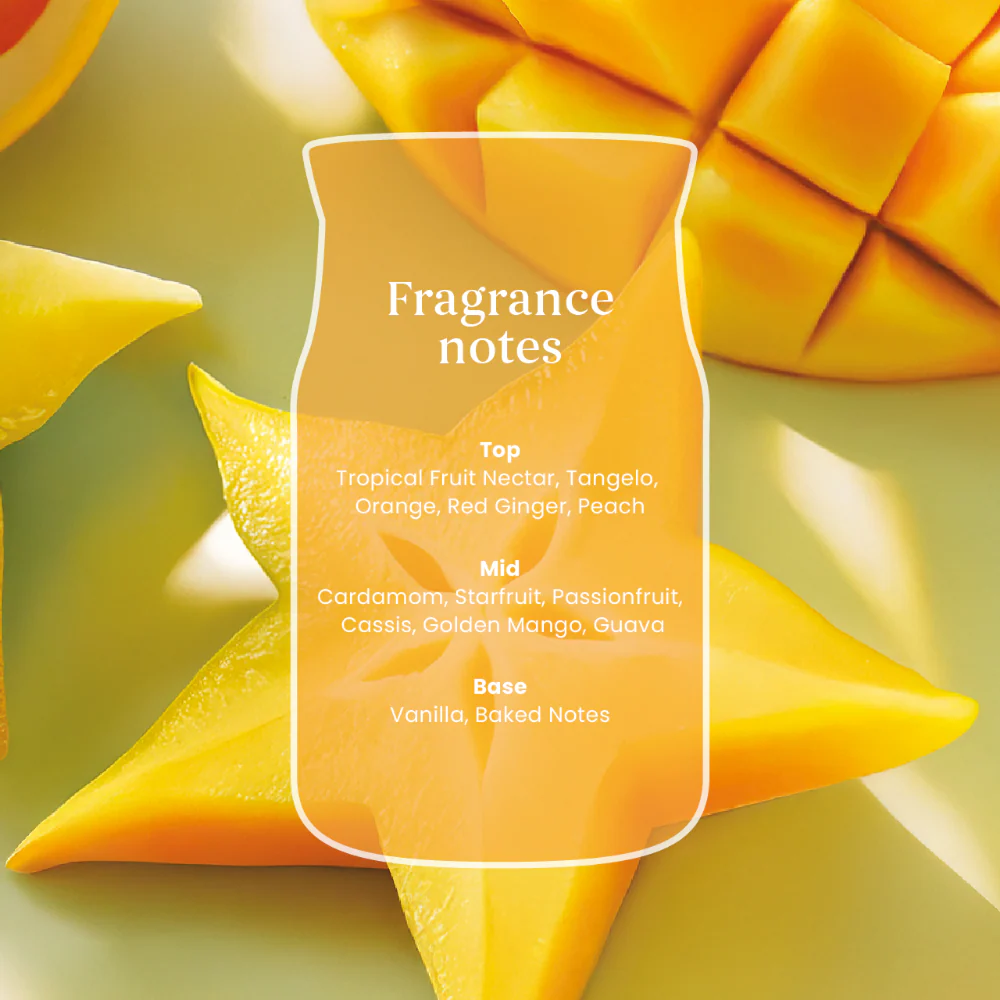 Yankee Candle Starfruit & Sunshine Medium Signature Jar Candle - Image 3